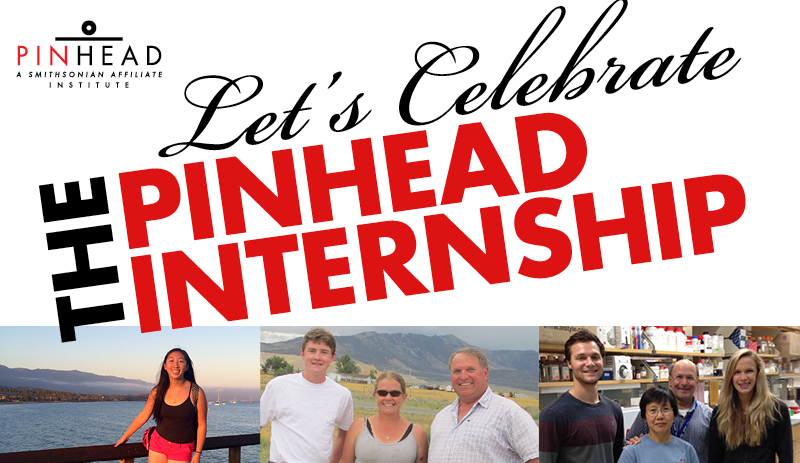 pinhead intern presentation header 2014