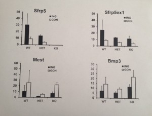 These were the results that Rob helped me analyze from the QRT-PCR! He made the top two graphs, and I made the bottom two graphs on my own.