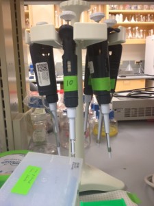 These are pipettes, so you can know what they look like!