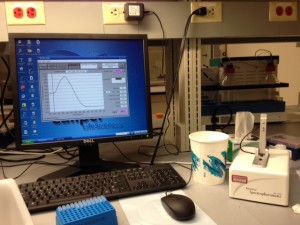 The NanoDrop is on the right. It is hooked up to the computer, which shows our results, measuring the purity, concentration, and quantity of RNA in each sample.