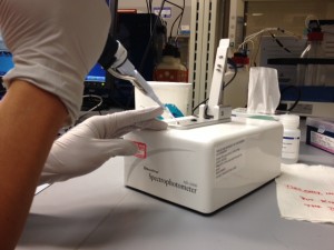 This is a picture of Rea using a pipette to put a tiny droplet of an RNA sample onto the NanoDrop Spectrophotometer. Rea let me pipette most of the samples onto the NanoDrop, and it was really fun! I was proud of myself, too, because she thought I was good enough at pipetting that she trusted me not to mess up!