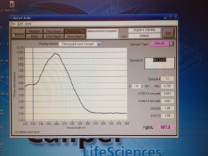 This is a closer look at the data we were looking at from the NanoDrop.