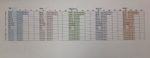 This is the chart we used so that we would know where to put each RNA sample. Each cell in the chart represents a well.