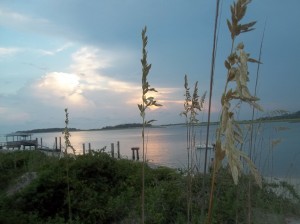 Beach Walk