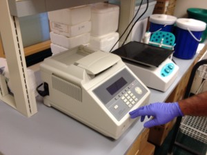 This is a picture of the PCR machine more zoomed out. The lid is closed, so you can't see the Assay Plate inside.